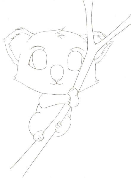 Рисунки для срисовки лёгкие коала