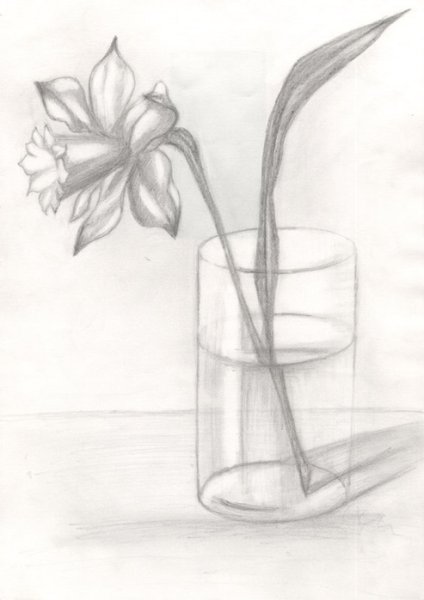 Натюрморт цветы карандашом