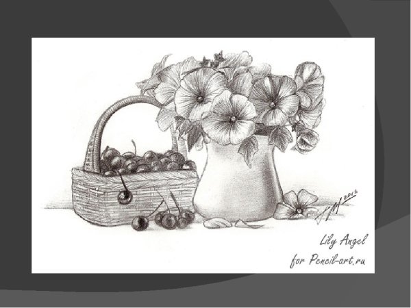 Натюрморт карандашом легкий