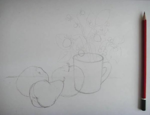 Рисунок вазы с цветами карандашом