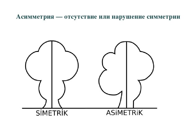 Симметрия и асимметрия рисунок