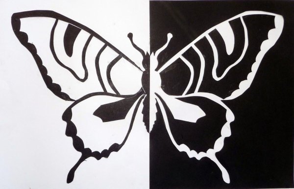 Симметрия в графике