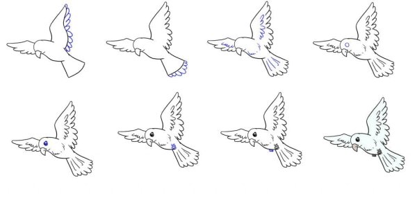Рисование птиц в полете