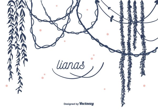 Традесканция раскраска для детей