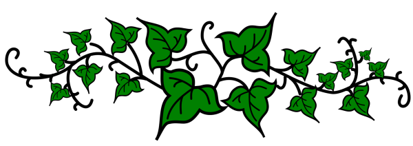 Плющ эскиз