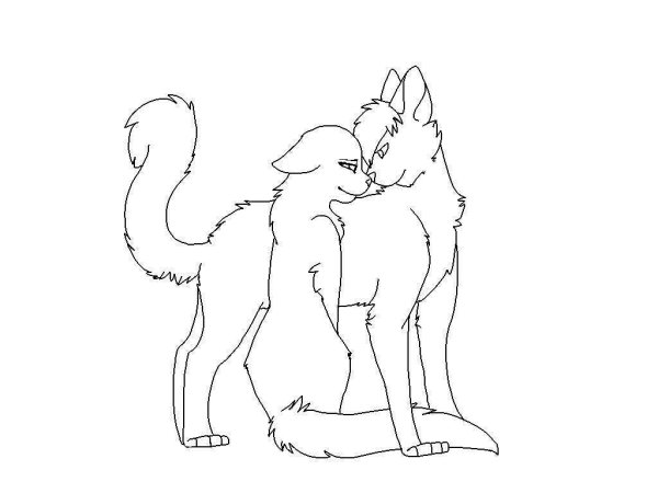 Коты Воители лайны любовь