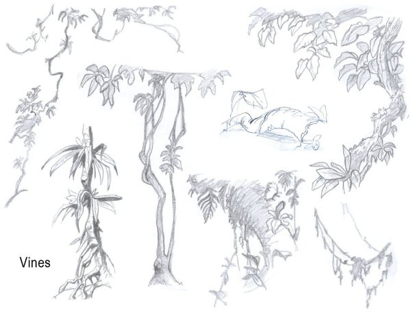 Плющ контур