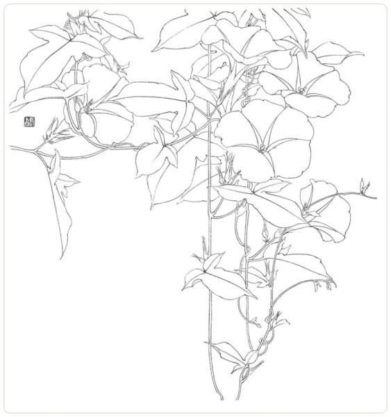 Лианы раскраска