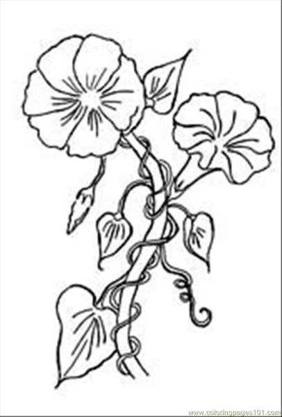 Плакучая Ива тату