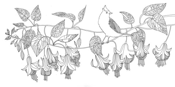 Вьющиеся растения для оформления рамок