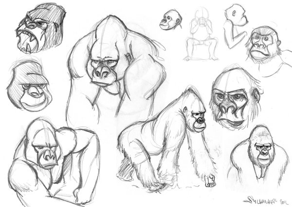 Нарисовать лицо гориллы