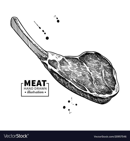 Кусок мяса эскиз