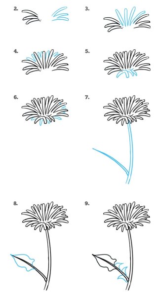Рисование одуванчик