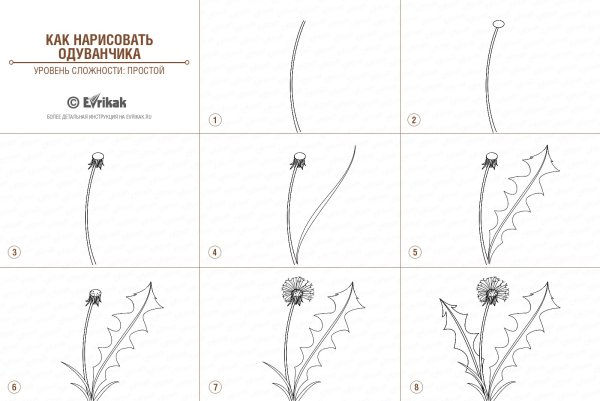 Поэтапное рисование одуванчика