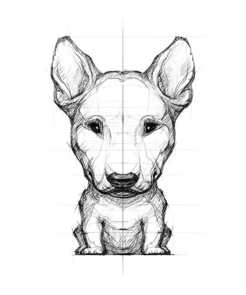 Эскиз собаки