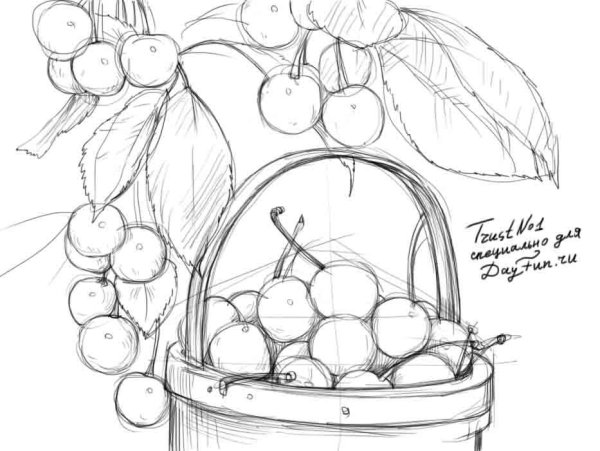 Ваза с фруктами карандашом
