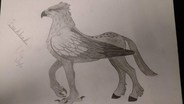 Гиппогриф Клювокрыл набросок