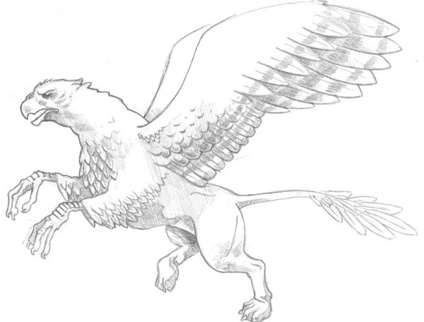 Гиппогриф раскраска из Гарри Поттера