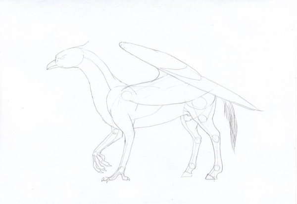 Раскраска Гарри Поттер Клювокрыл