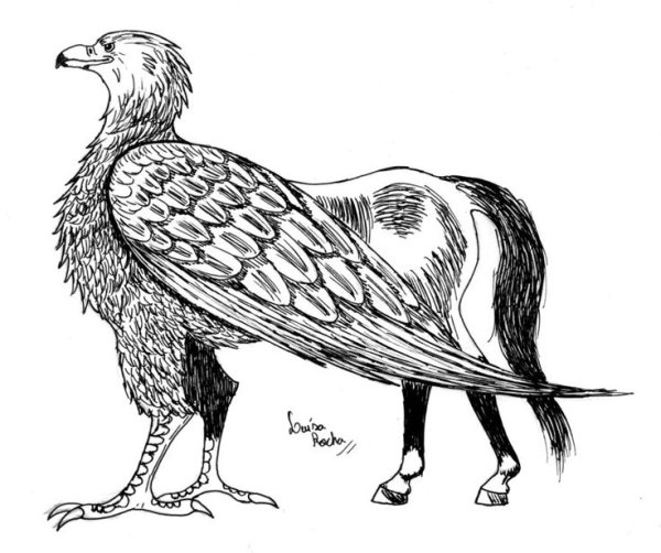 Грифон рисунок карандашом