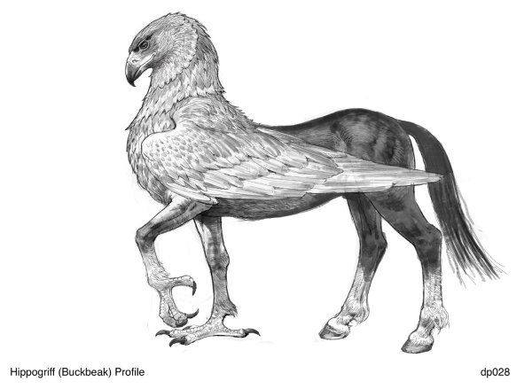Раскраска Гарри Поттер гиппогриф