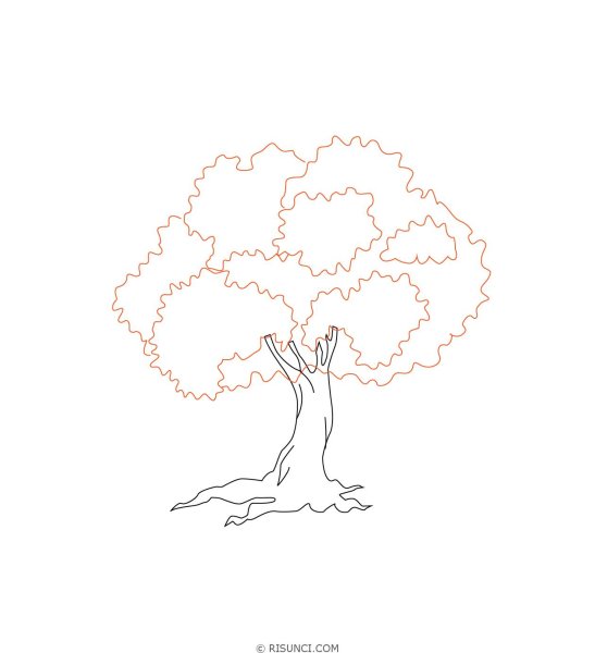 Дуб карандашом