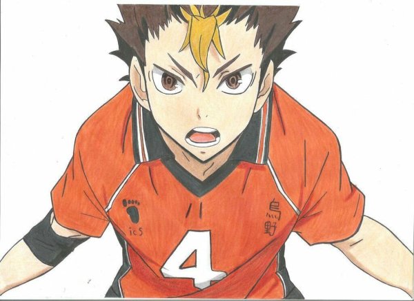 Нишиноя юу рост