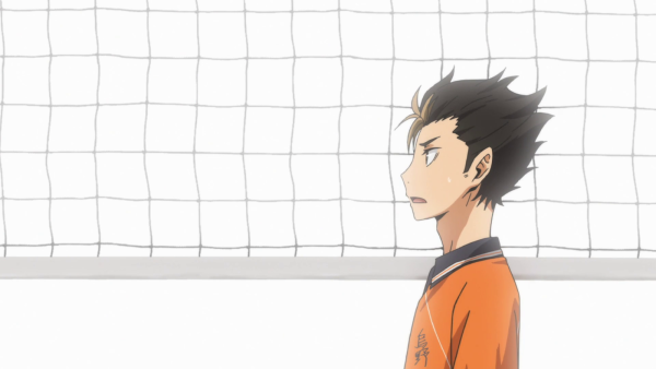 Хината и Нишиноя Эстетика