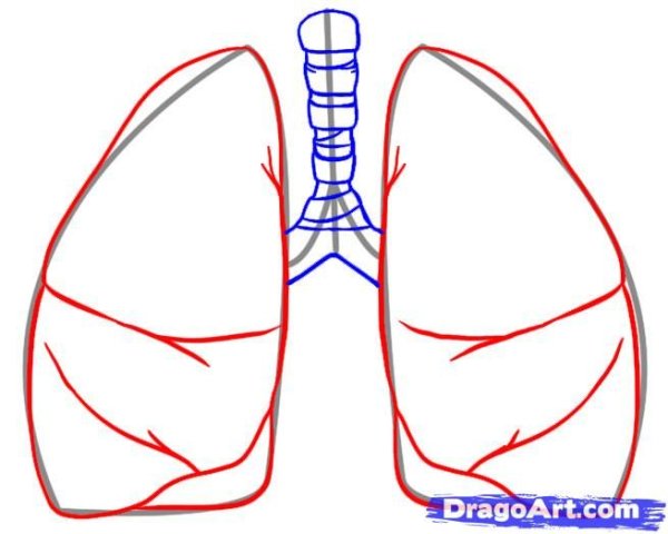 Срисовки людей легкие