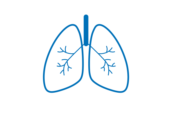 Иллюстрации легкие