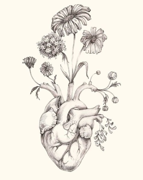 Необычные цветы эскиз