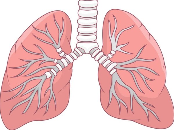 Легкие рисунки