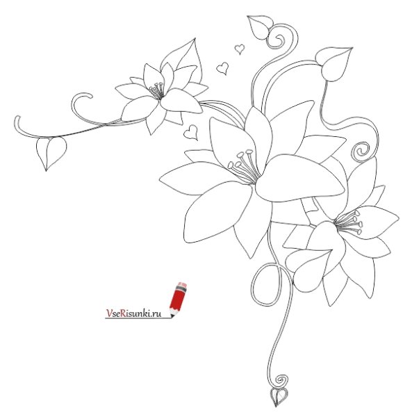 Рисунки карандашом для срисовки узоры цветы