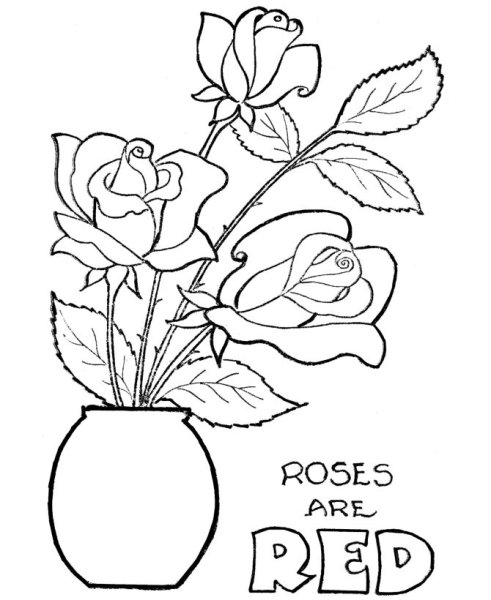 Раскраска цветы в вазе