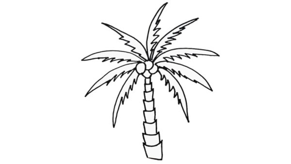 Рисование пальмы