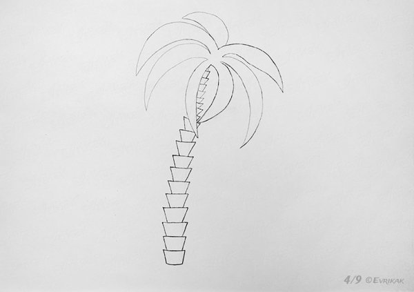 Как нарисовать пальму карандашом поэтапно для начинающих