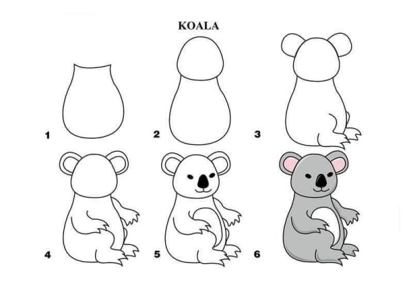 Как нарисовать коалу поэтапно