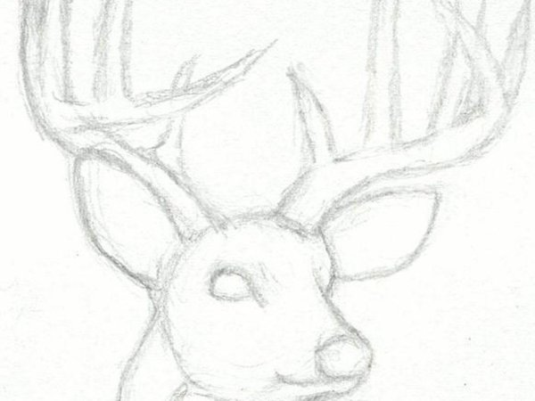 Рисунок оленя для срисовки легкие