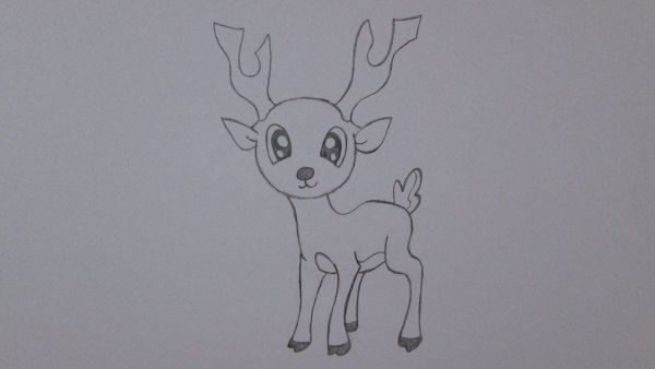 Оленёнок рисунок для срисовки