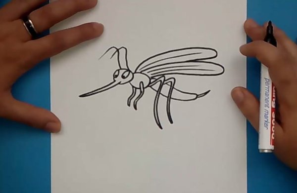 Маленький комарик