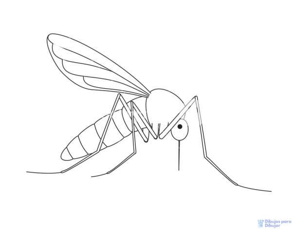 Рисуем комара