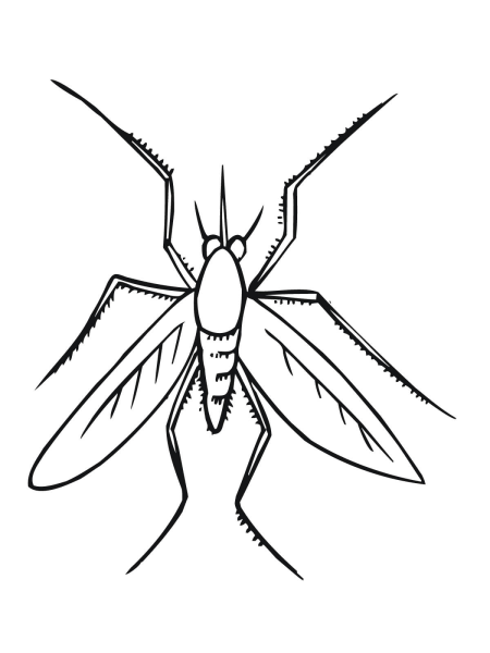 Комар поэтапное рисование