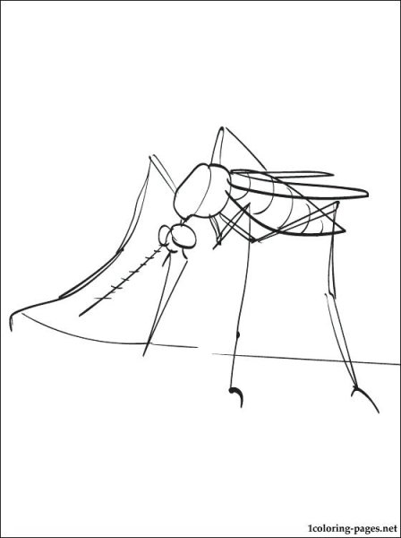 Москит сбоку рисунок