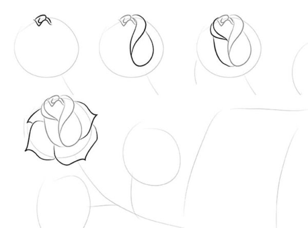 Поэтапное рисование открытки к 8 марта