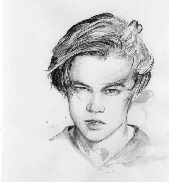 Леонардо ди Каприо рисунок карандашом