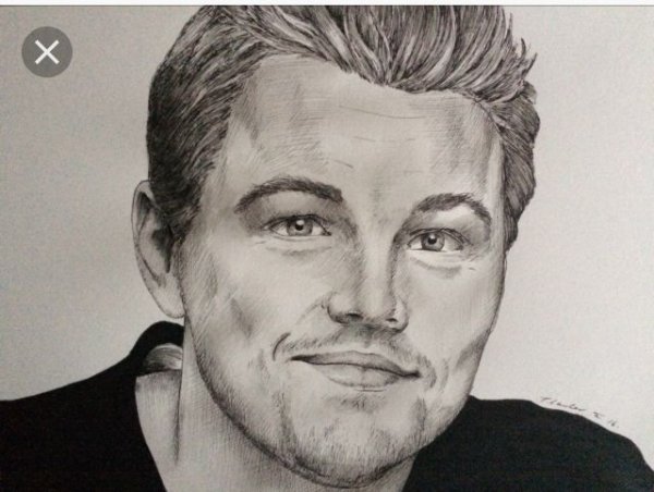 Леонардо ди Каприо карандашом