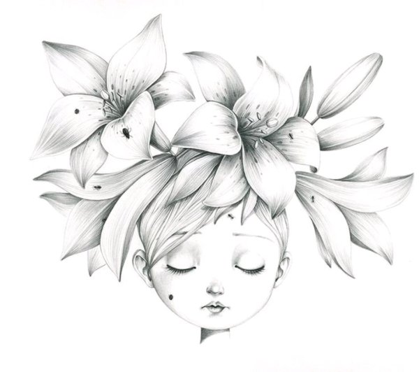 Иллюстрации Эммануэль Колин раскраски