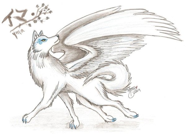 Волк с крыльями карандашом