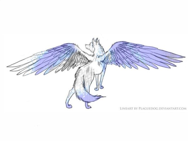 Волки с крыльями для срисовки