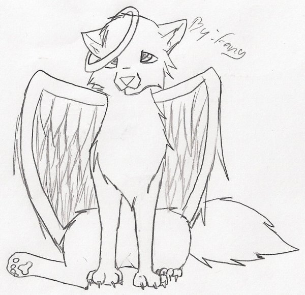 Котик с крыльями рисунок для срисовки